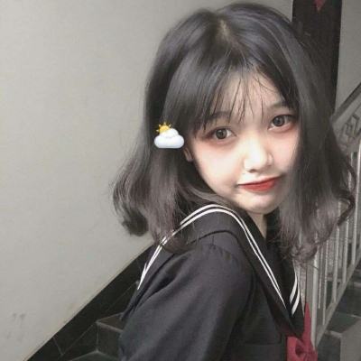 小小宠物医生游戏下载